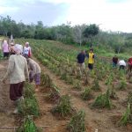 WhatsApp Image 2022-08-11 at 20.29.53 (1)