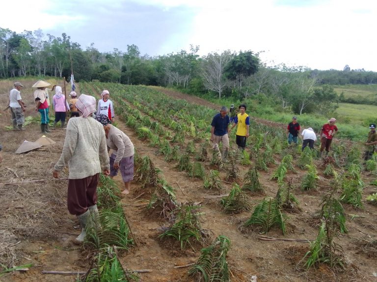 WhatsApp Image 2022-08-11 at 20.29.53 (1)