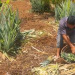 WhatsApp Image 2023-03-20 at 14.46.27