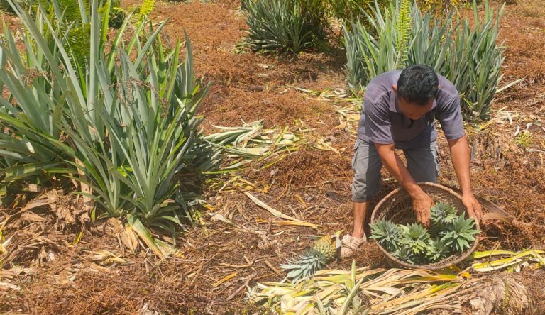 WhatsApp Image 2023-03-20 at 14.46.27