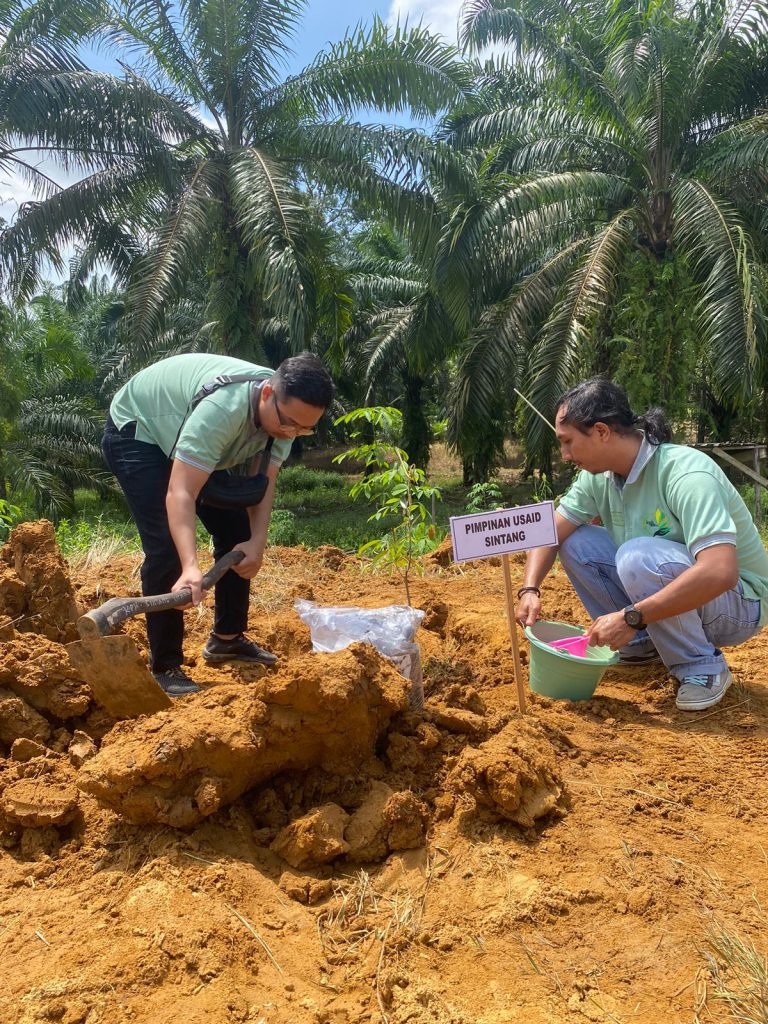 WhatsApp Image 2024-12-17 at 14.00.26