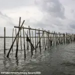 ANTARA FOTOSulthony Hasanuddin