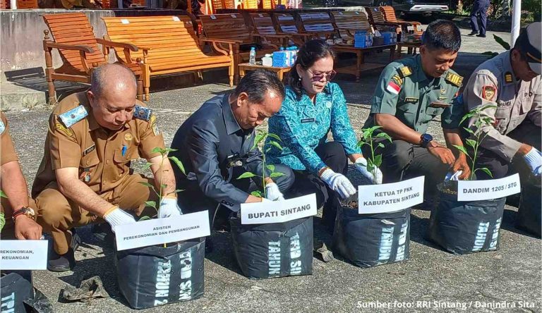 SumberfotoRRISintangDanindraSit