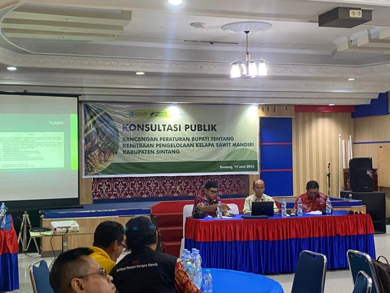 WhatsAppImage2025-07-01at11.18.16