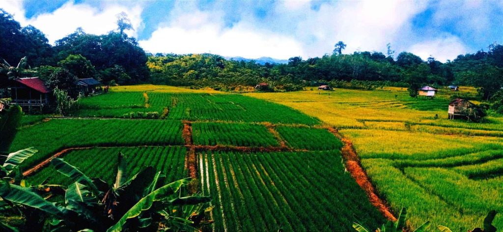 WhatsApp Image 2025-11-19 at 22.47.36_11zon