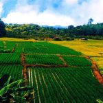 WhatsApp Image 2025-11-19 at 22.47.36_11zon