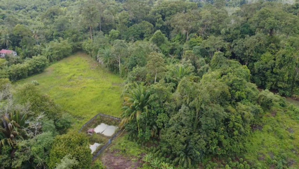 Screenshot_2025-12-06-20-42-55-884_dji.go.v5