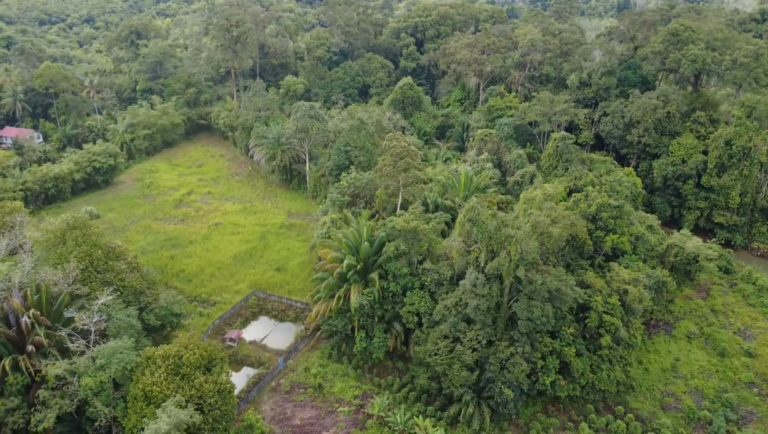 Screenshot_2025-12-06-20-42-55-884_dji.go.v5