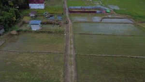 DJI_0678