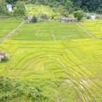 DJI_0695