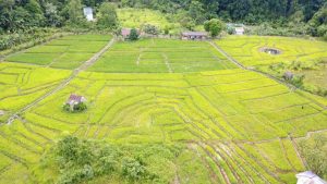DJI_0695