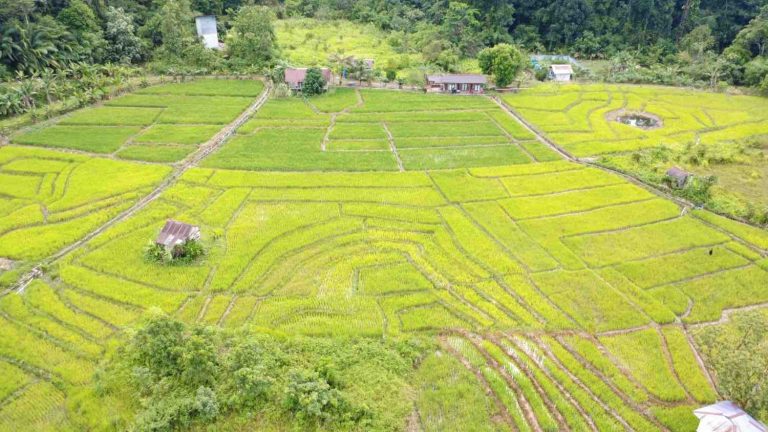 DJI_0695