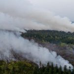 kebakaran-lahan-di-pulang-pisau-provinsi-kalimantan-tengah-rabu-1282028-reutersajeng-dinar-ulfiana-1786605747906_169