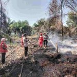 Karhutla di Desa Tanjung Leban Kecamatan Bandar Laksamana Kabupaten Bengkalis Senin 2482026. Foto mediacenter.riau.go.id-100kb