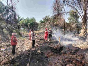 Karhutla di Desa Tanjung Leban Kecamatan Bandar Laksamana Kabupaten Bengkalis Senin 2482026. Foto mediacenter.riau.go.id-100kb