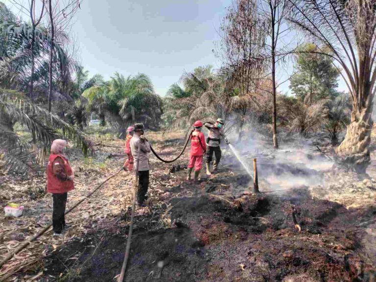 Karhutla di Desa Tanjung Leban Kecamatan Bandar Laksamana Kabupaten Bengkalis Senin 2482026. Foto mediacenter.riau.go.id-100kb